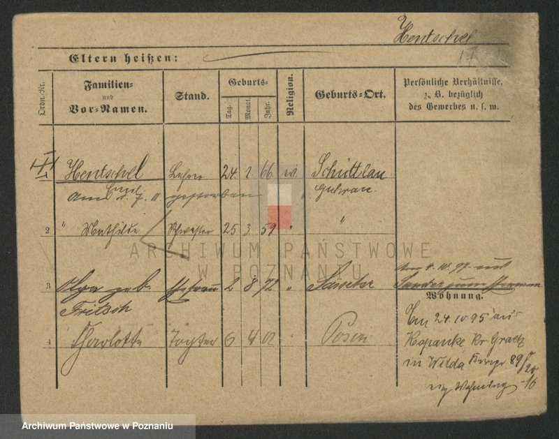 Obraz 17 z jednostki "Hensch - Henschler"