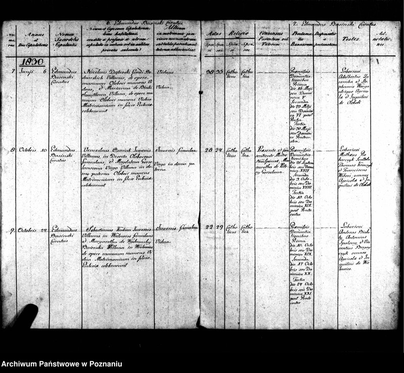 Obraz 6 z jednostki "Metrices copulatorum"