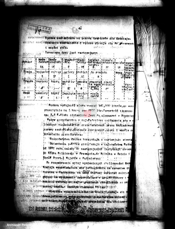 image.from.unit.number "Gospodarstwo wzorowe Radomierz powiatu wolsztyńskiego"
