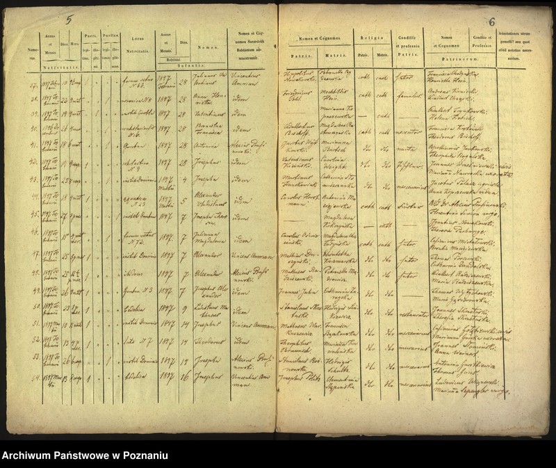 Obraz 5 z jednostki "Księga urodzin"