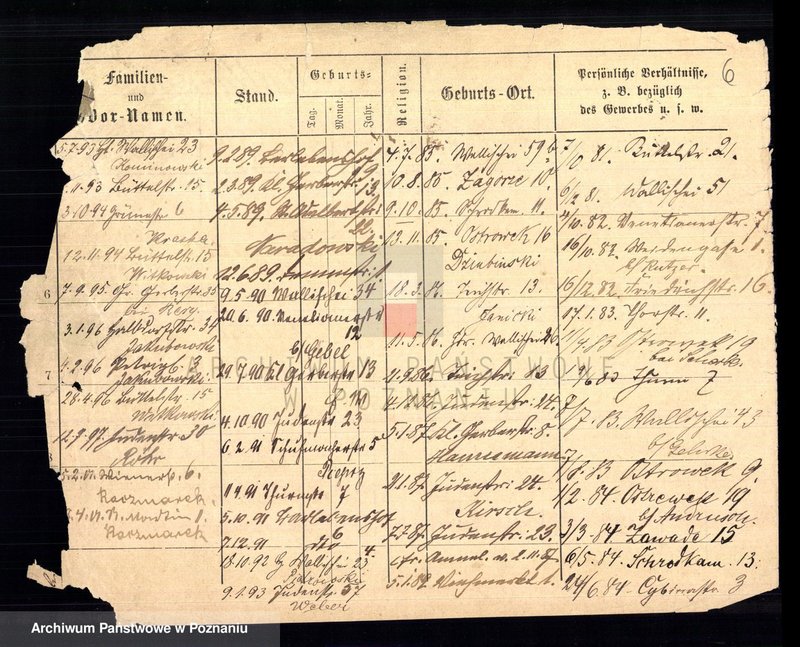 Obraz 8 z jednostki "Dalkowski - Danielewicz"