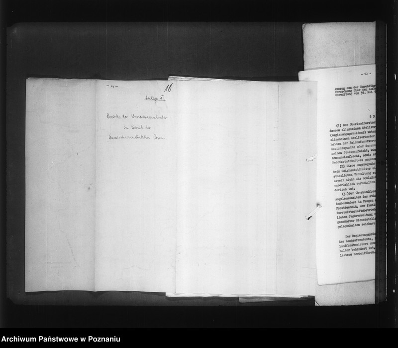 Obraz 20 z jednostki "Reichswassersrassen"