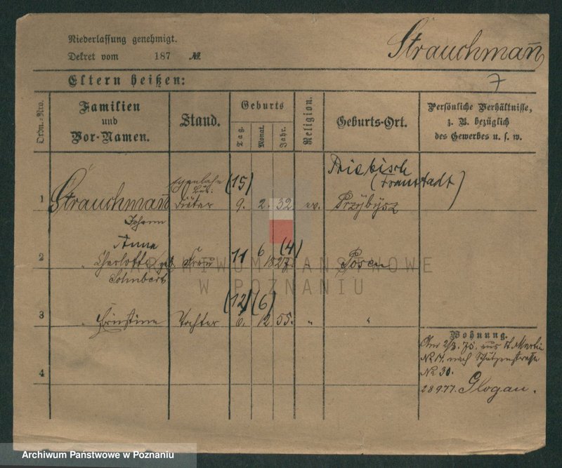 Obraz 16 z jednostki "Strauchman - Striwy (Strü...)"