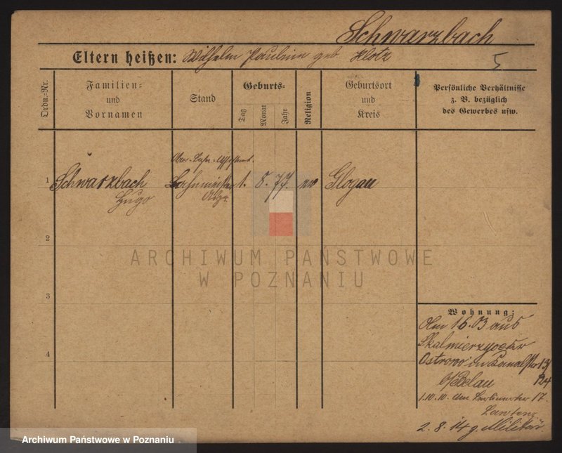 Obraz 13 z jednostki "Szwarcbach - Szwenk"