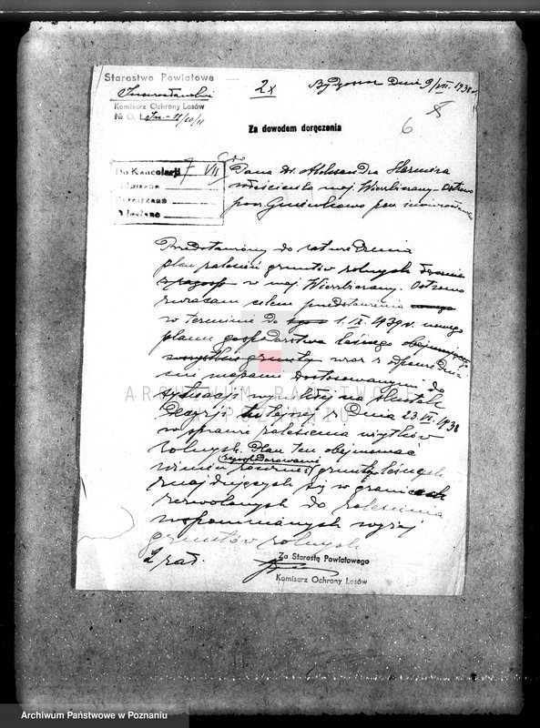 Obraz 10 z jednostki "Majątek Wierzbiczany w powiecie inowrocławskim /nadzór nad gospodarką leśną"