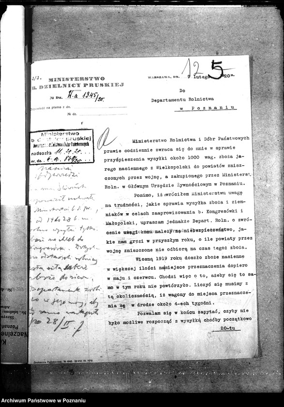 Obraz 17 z jednostki "Zboże siewne i sadzonki"