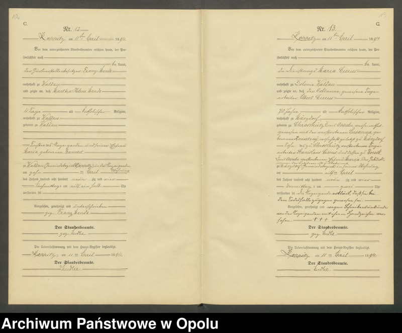 Obraz 9 z jednostki "Sterbe-Neben-Register Standesamts Koppitz pro 1894"