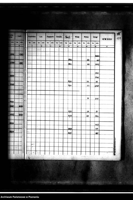 Obraz 15 z jednostki "Rejestr pomiarowy gminy Goszczanów powiat turecki"
