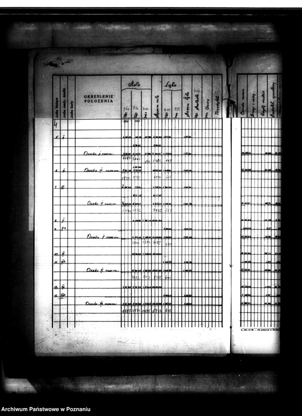 Obraz 8 z jednostki "Tymczasowy rejestr pomiarowo-parcelacyjny majątku Duszniki powiatu szamotulskiego"