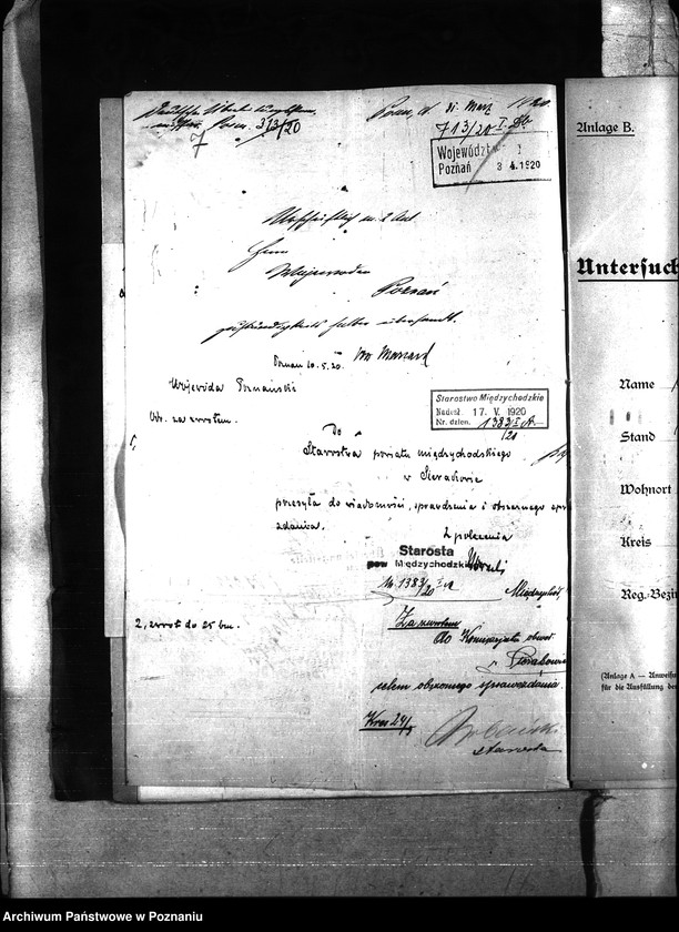 Obraz 11 z jednostki "Nosacizna - Międzychód"