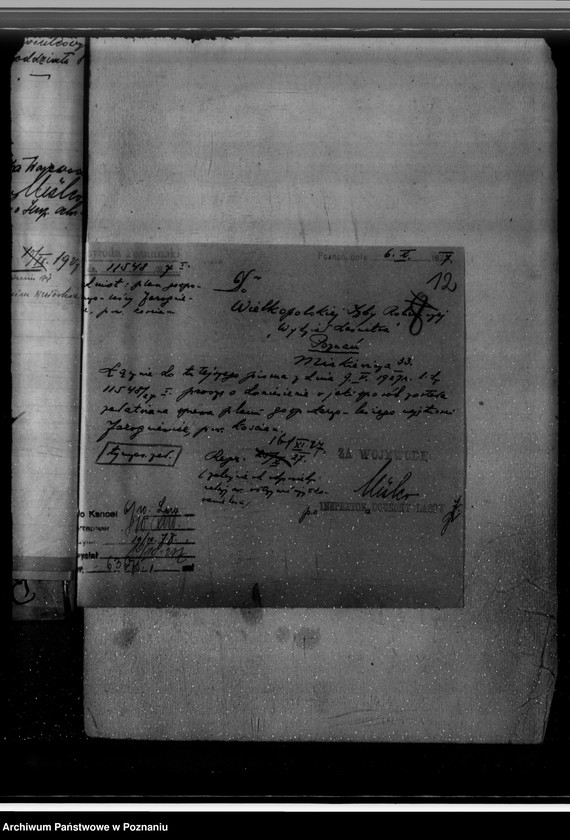 Obraz 16 z jednostki "Gospodarka w lasach majątku Jarogniewice powiat kościański"