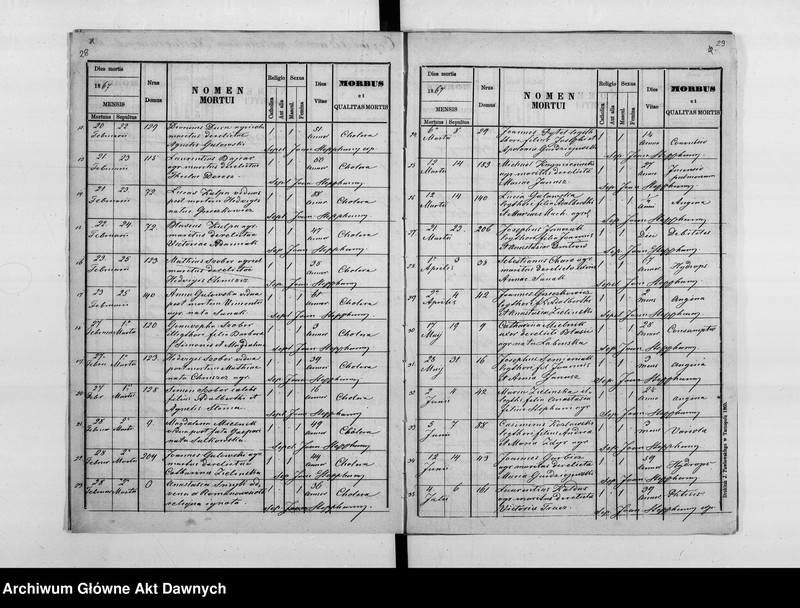 image.from.unit.number "Parafia: Hałuszczyńce. Dekanat: Skałat. Księga metrykalna urodzeń, ślubów i zgonów dla wsi: Hałuszczyńce*, Chmieliska*, Chodaczków Mały**, Konstantynówka, Romanowe Sioło, Żerebki Królewskie, Żerebki Szlacheckie."