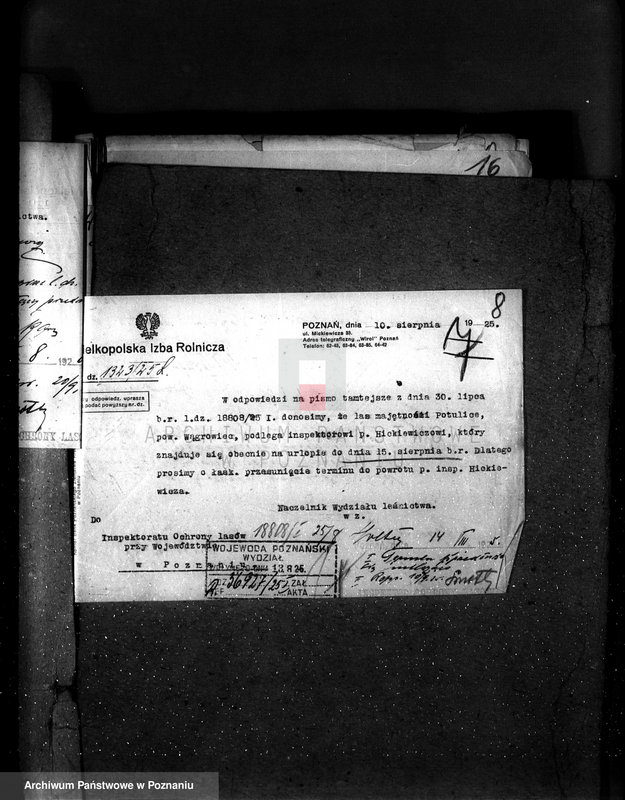 Obraz 12 z jednostki "Majętność leśna Potulice powiat wągrowiecki"