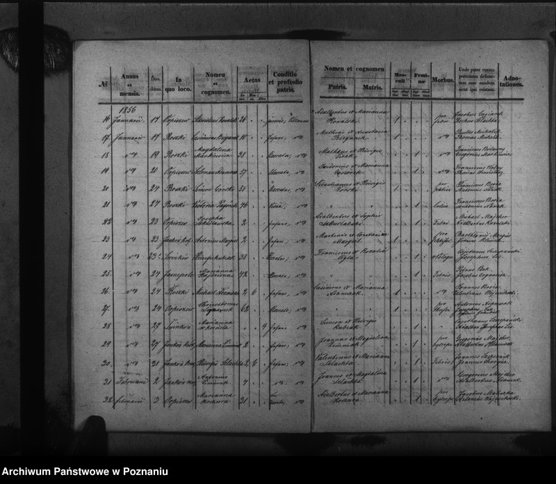 Obraz 14 z jednostki "Liber baptisatorum, copulatorum, mortuorum"