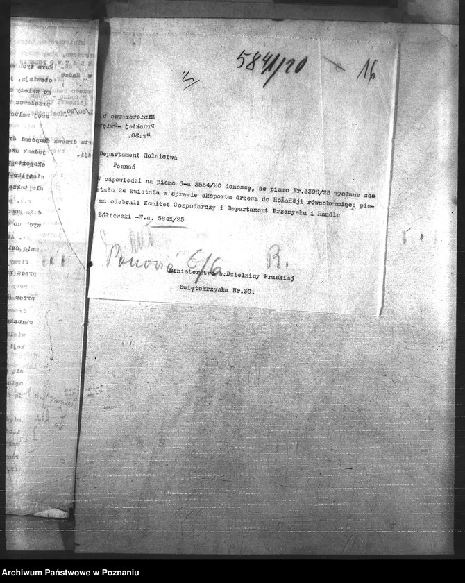 Obraz 20 z jednostki "Leśnictwo"