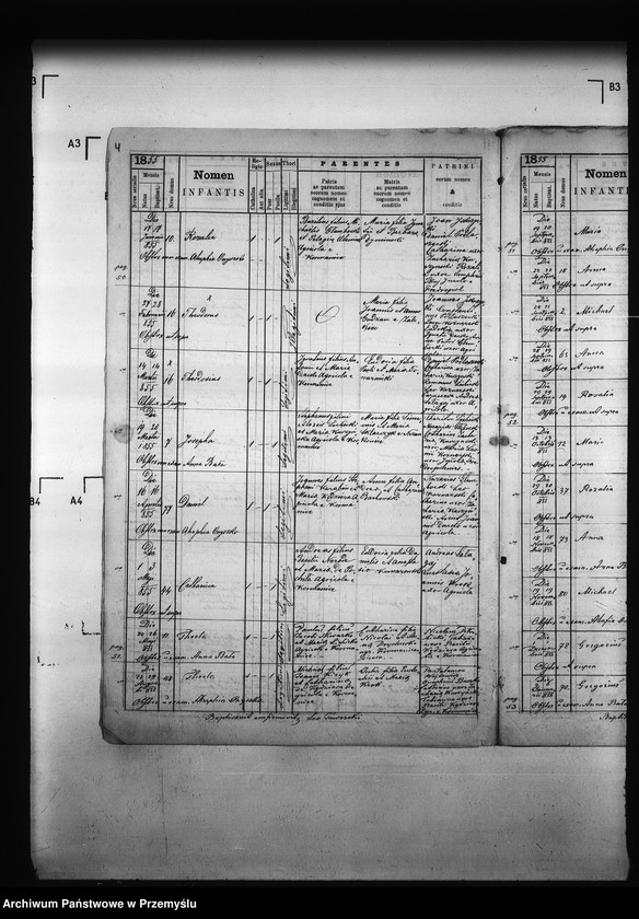 image.from.unit.number "[Kopie ksiąg metrykalnych parafii Kormanice z filiami Darowice, Kupiatycze, Młodowice, Fredropol (dekanat Niżankowice)]"