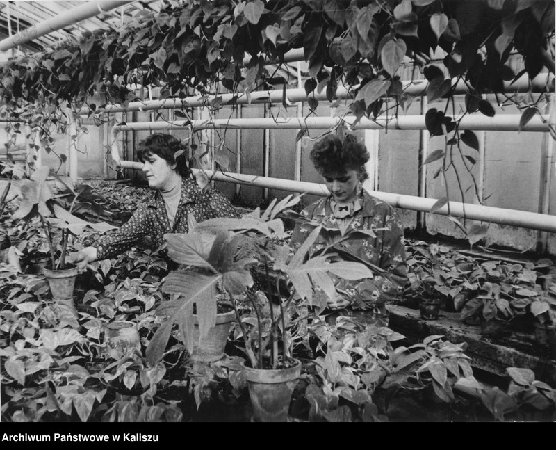 Obraz 15 z kolekcji "Kobiety na archiwalnych zdjęciach111"