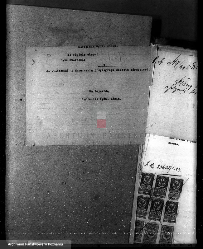 Obraz 7 z jednostki "Majętność leśna w Mielnie w powiecie gnieźnieńskim"