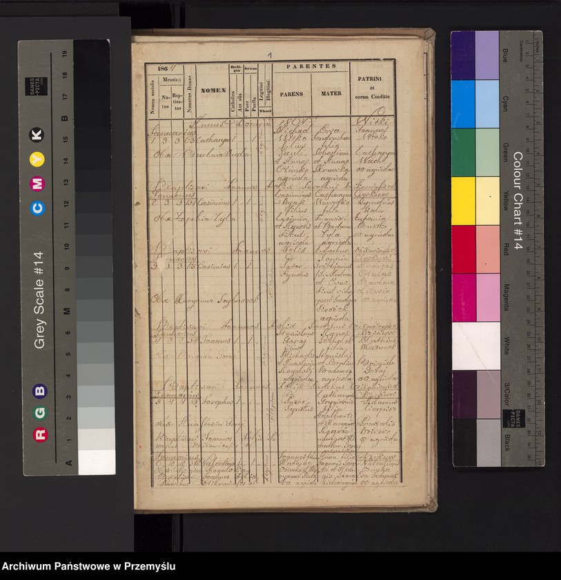 image.from.unit.number "[Kopie urodzeń, zgonów małżeństw parafii w Dzikowie za lata 1864-1865]"