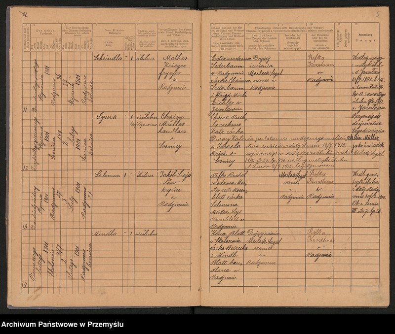 Obraz 8 z jednostki "Duplikat metryki urodzin za 1901 rok Urzędu metrykalnego izraelickiego w Radymnie. Tom VIII"