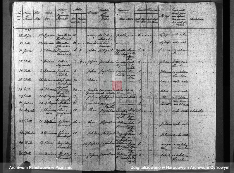 image.from.unit.number "Duplicatum baptisatorum, copulatorum, mortuorum"