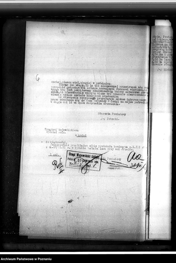 Obraz 10 z jednostki "Gmina Chocz w powiecie kaliskim /nadzór nad gospodarką leśną/"