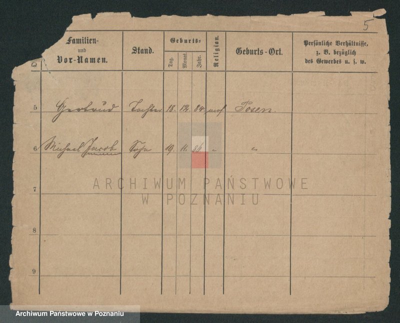 Obraz 13 z jednostki "Salc - Samolek"