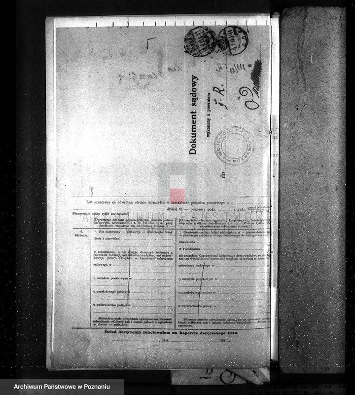 Obraz 9 z jednostki "Nadzór nad gospodarką w lasach majętności Gułtowy powiat średzki"