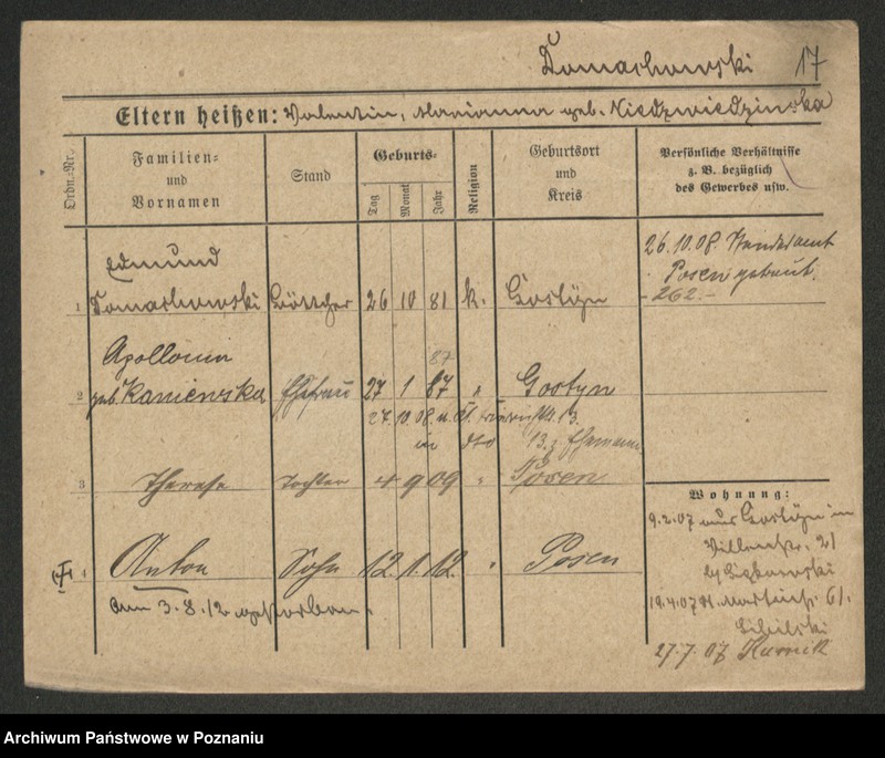 image.from.unit.number "Dołżycki - Domino"