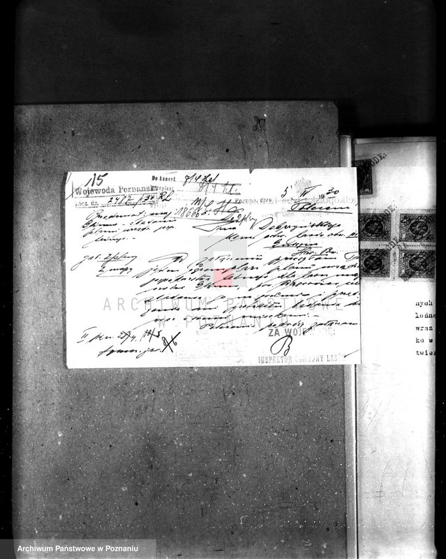 Obraz 19 z jednostki "Majętność leśna Glinno powiat wągrowiecki"