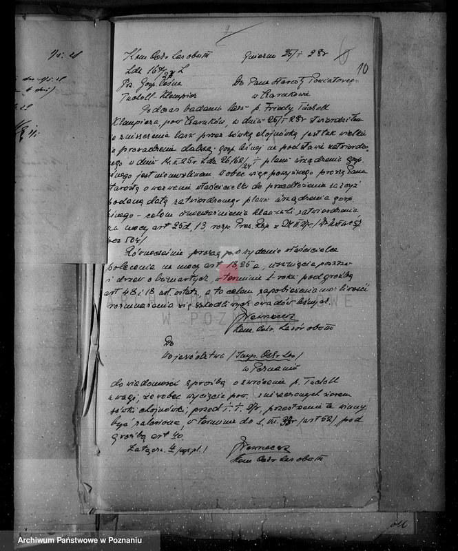 Obraz 14 z jednostki "Nadzór nad lasami/ majątku Klempicz powiatu czarnkowskiego"