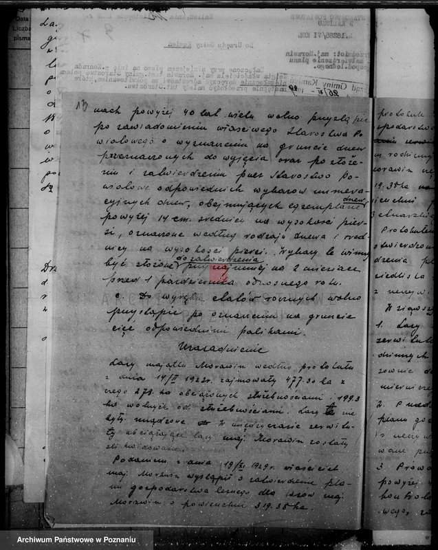 Obraz 17 z jednostki "Wyłączenie obszarów leśnych majątku Morawin powiat kaliski"