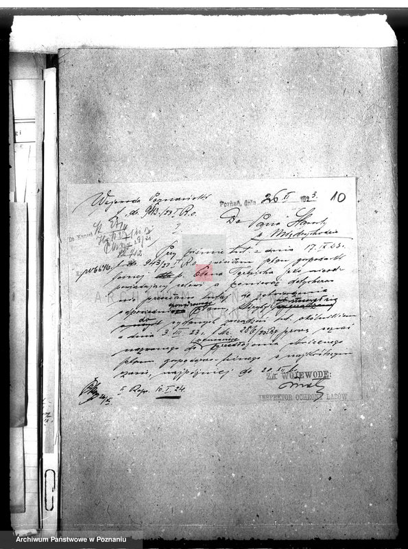 Obraz 14 z jednostki "Nadzór nad gospodarką w lasach majątku Bukowce powiat międzychodzki"