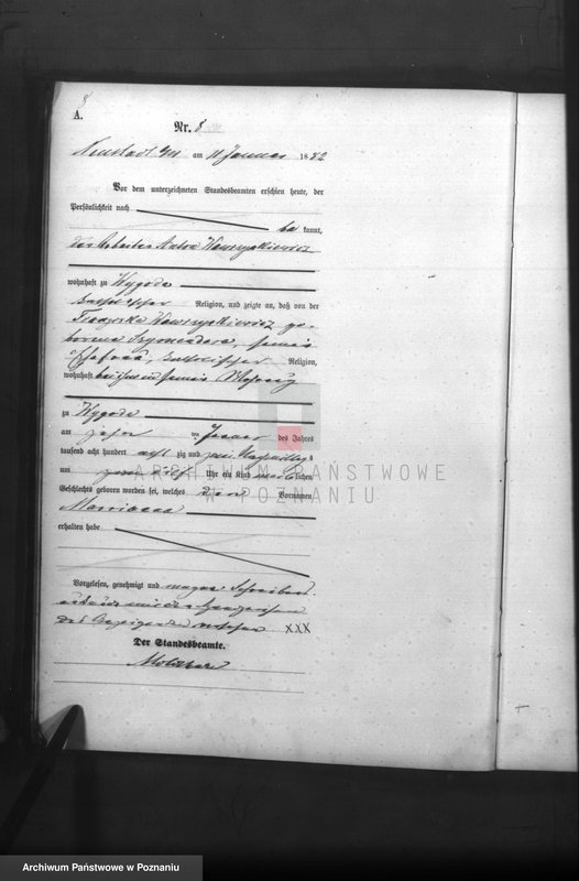 Obraz 10 z jednostki "Księga urodzeń"