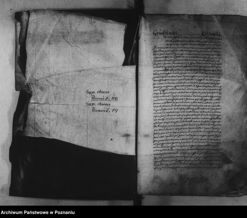 Obraz 4 z jednostki "Decreta [inducta]"