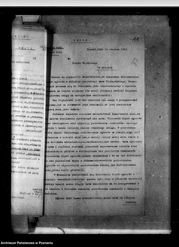 Obraz 17 z jednostki "Sprawy ogólne stadnin"