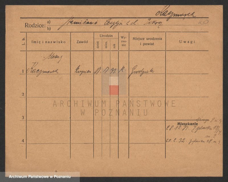 Obraz 20 z jednostki "Kaczmarek A-H (samotni mężczyźni)"