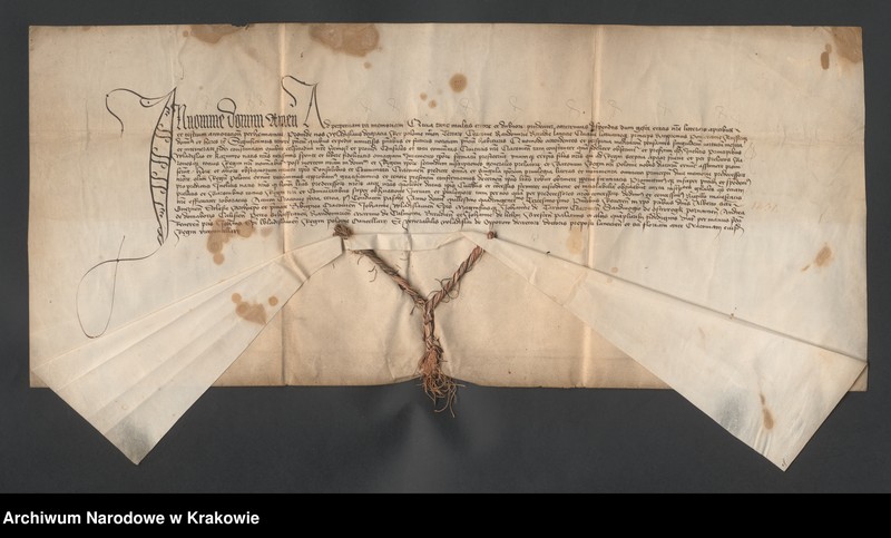 Obraz 5 z kolekcji "Dokumenty i pieczęcie Władysława III Jagiellończyka (1424‒1444) zwanego Warneńczykiem, króla Polski i Węgier111"