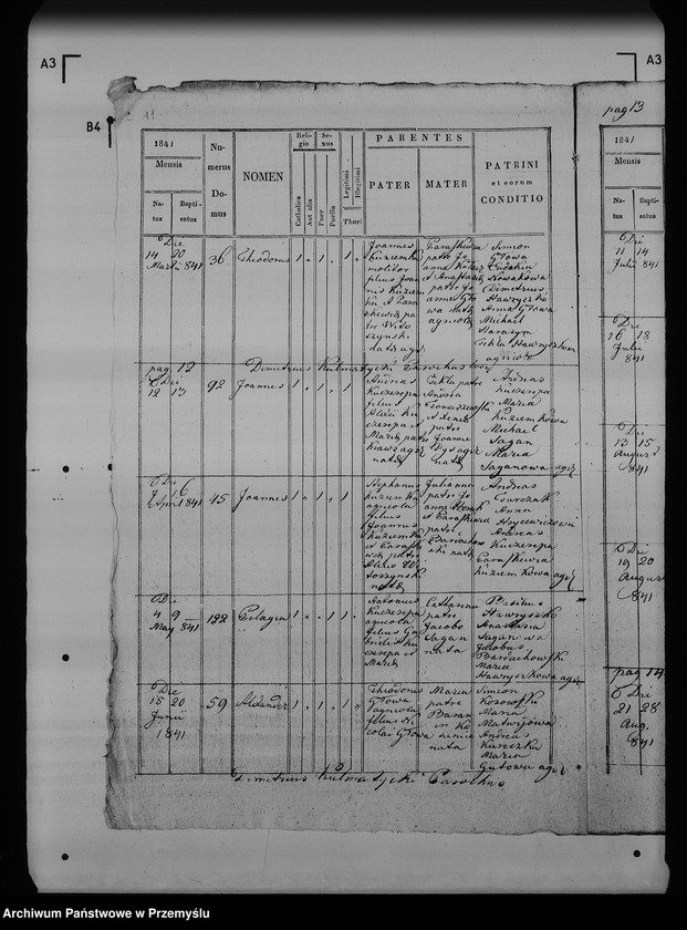 Obraz 16 z jednostki "[Kopie ksiąg metrykalnych parafii Maćkowice z filią Kosienice (dekanat Przemyśl)]"