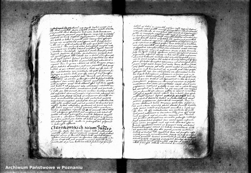 Obraz 17 z jednostki "Inscriptiones [inducta]"