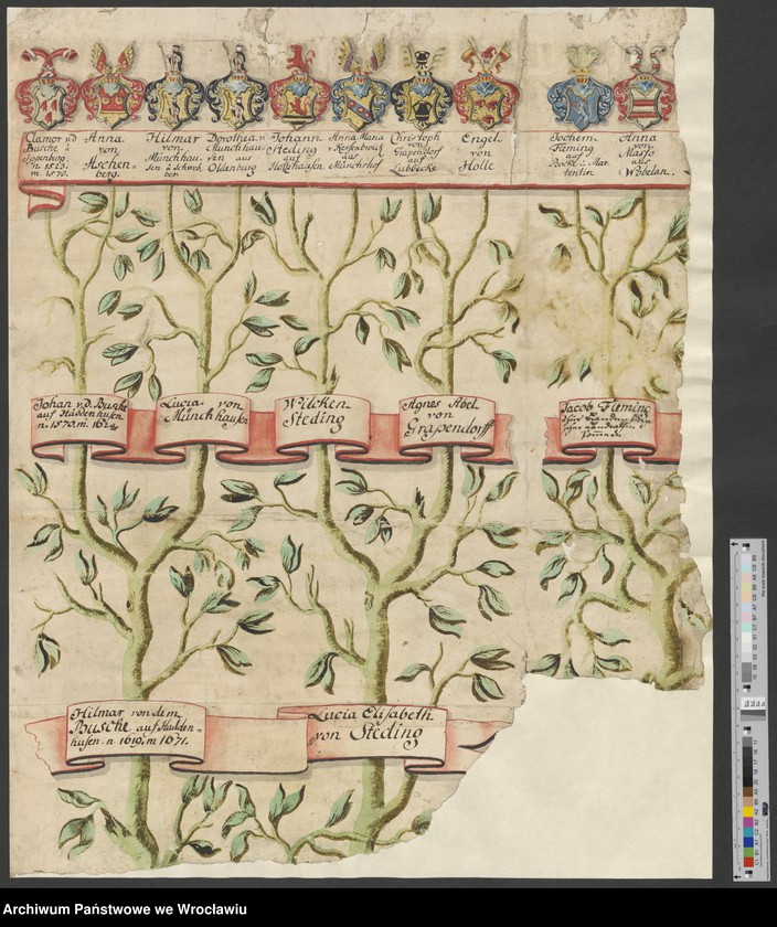 Obraz 2 z jednostki "[Herby, drzewa genealogiczne różnych rodów- von Geusau, von Gersdorff, von Rade, von Heynitz-Lindau, von Vechtnitz, von Wiedebach, von Globio, von Haugwitz, von Steding, von Winkel, von Langenau, von Wallis, von Erdmannsdorf, von Hagen, von Granach, von Schönburg-Waldenburg, von Arenstadt, von Finger]"