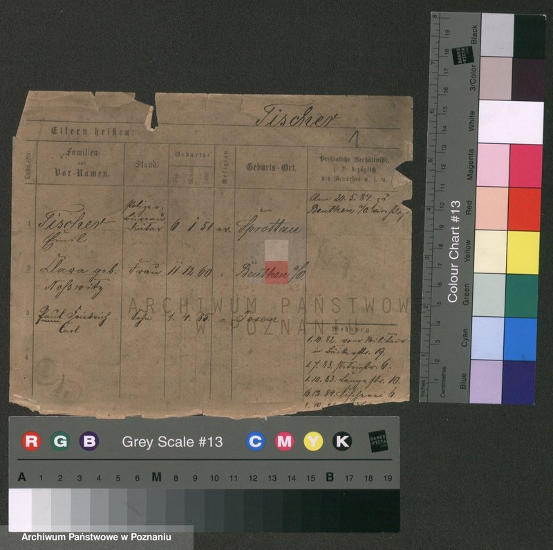 Obraz 5 z jednostki "Tiszer - Tode"