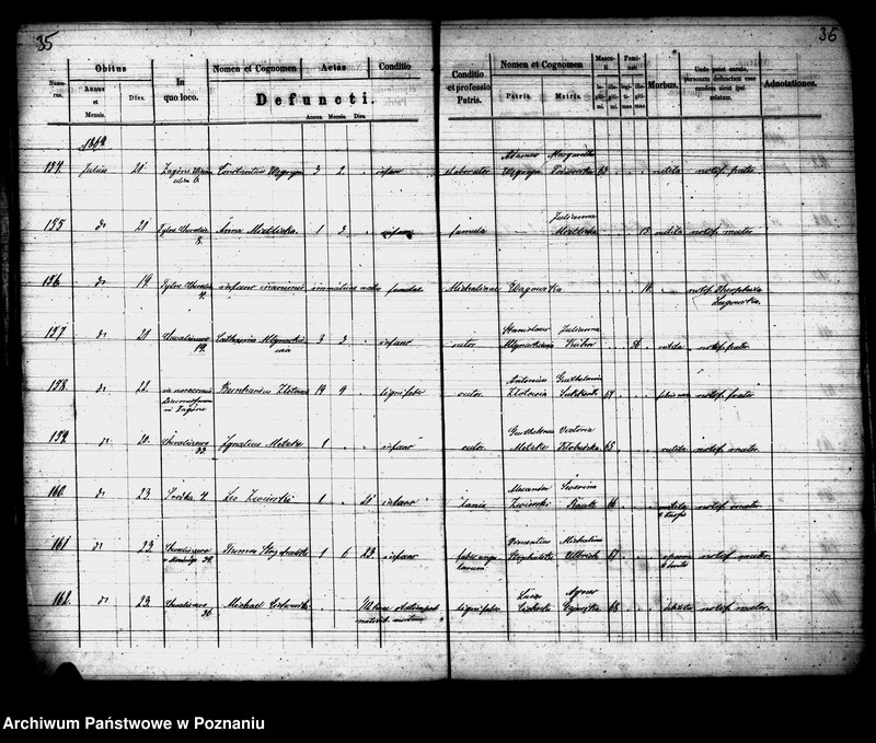 Obraz 19 z jednostki "Księga zgonów"