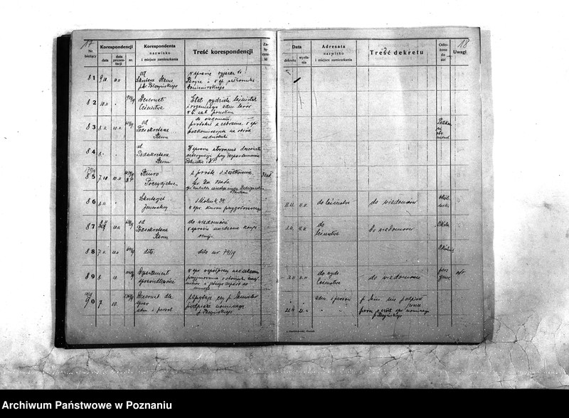 Obraz 12 z jednostki "Sekcja Rolna Dziennik 1919 r./nr. 1 - 1054"