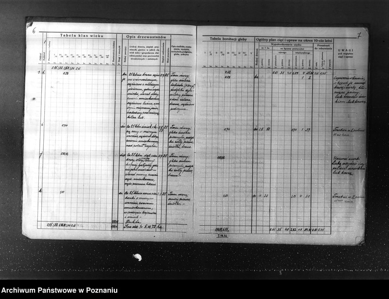 Obraz 8 z jednostki "Plan urządzenia gospodarstwa leśnego dla lasu majętności Kuleczyn w powiat nowotomyski 1933-1943"