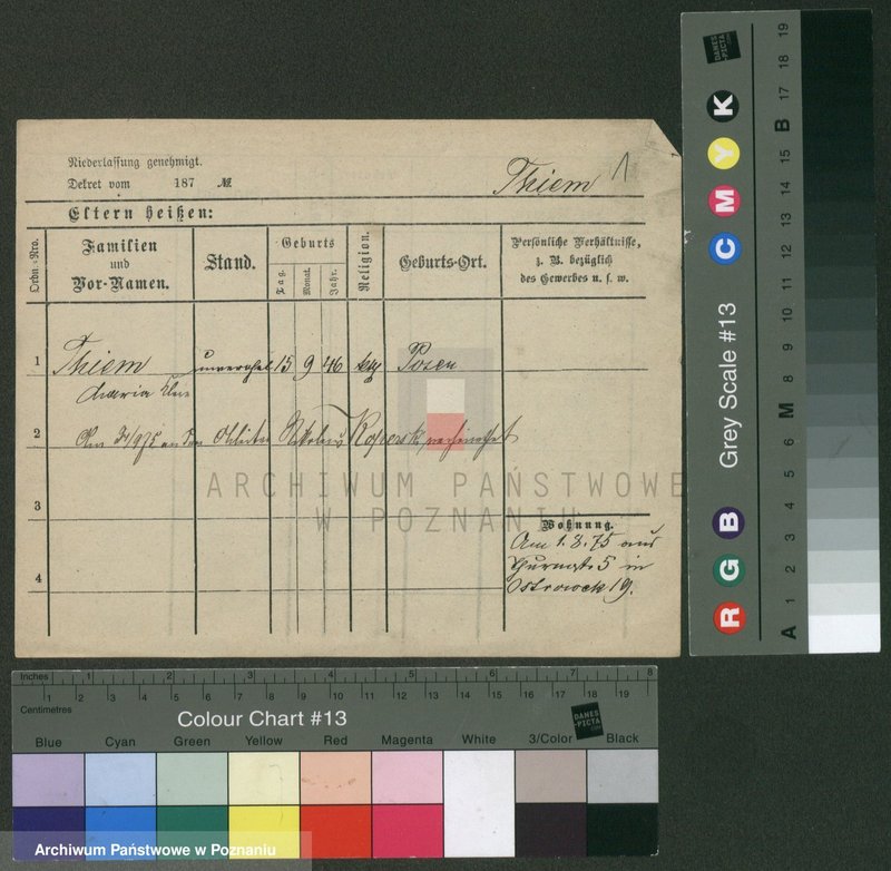 Obraz 5 z jednostki "Tim - Tiszel"