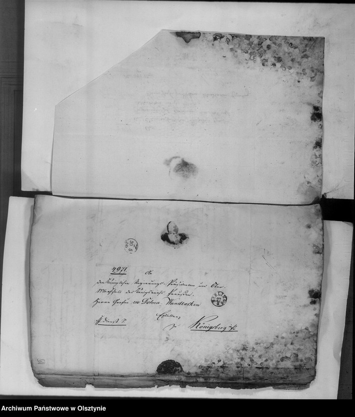 image.from.unit.number "Ober Landes Gerichts Assessor Rosenbaum [Eugen Robert Reinhold]"