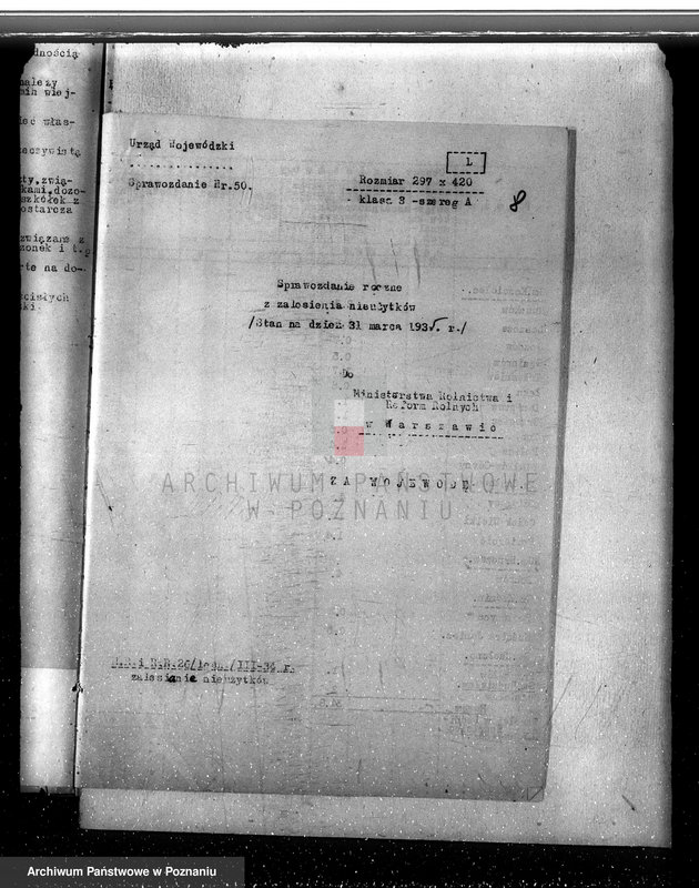 Obraz 13 z jednostki "Zalesienie nieużytków w powiecie kolskim"