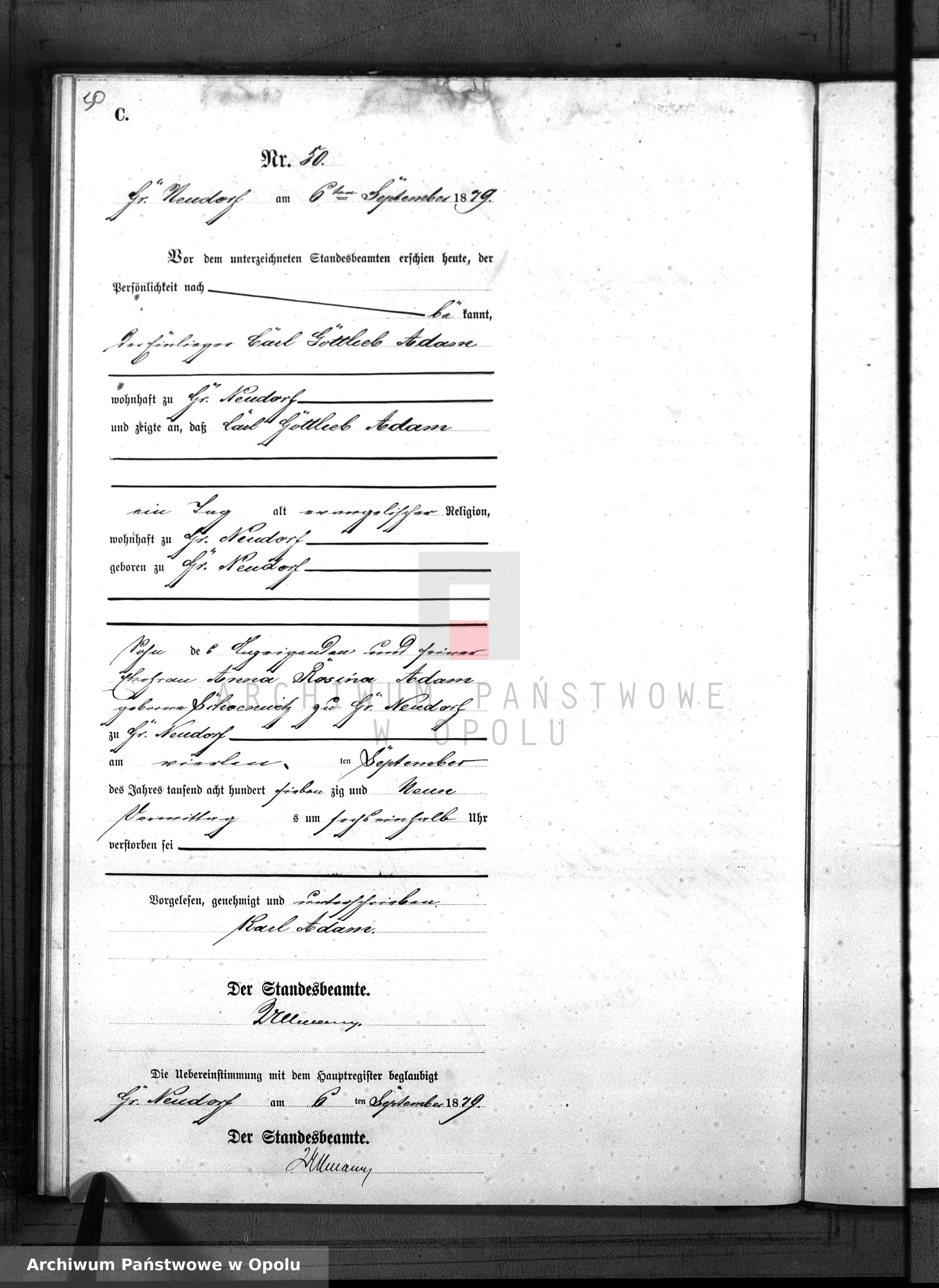Skan z jednostki: Sterbe-Neben-Register Standes-Amt Gross Neudorf 1879 Band I