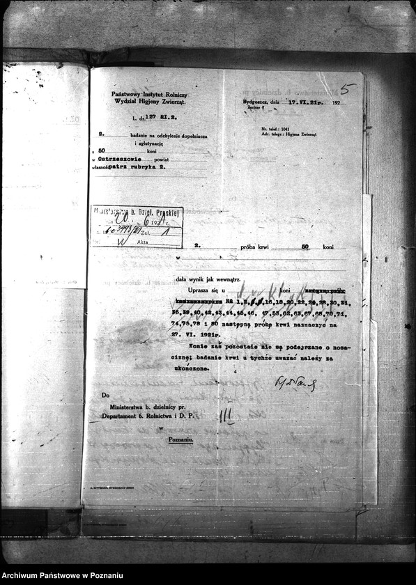 Obraz 9 z jednostki "Nosacizna - Ostrzeszów"